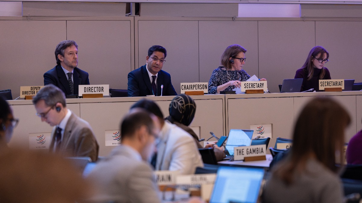 WTO members discuss green economy, remittance and environmental services classification