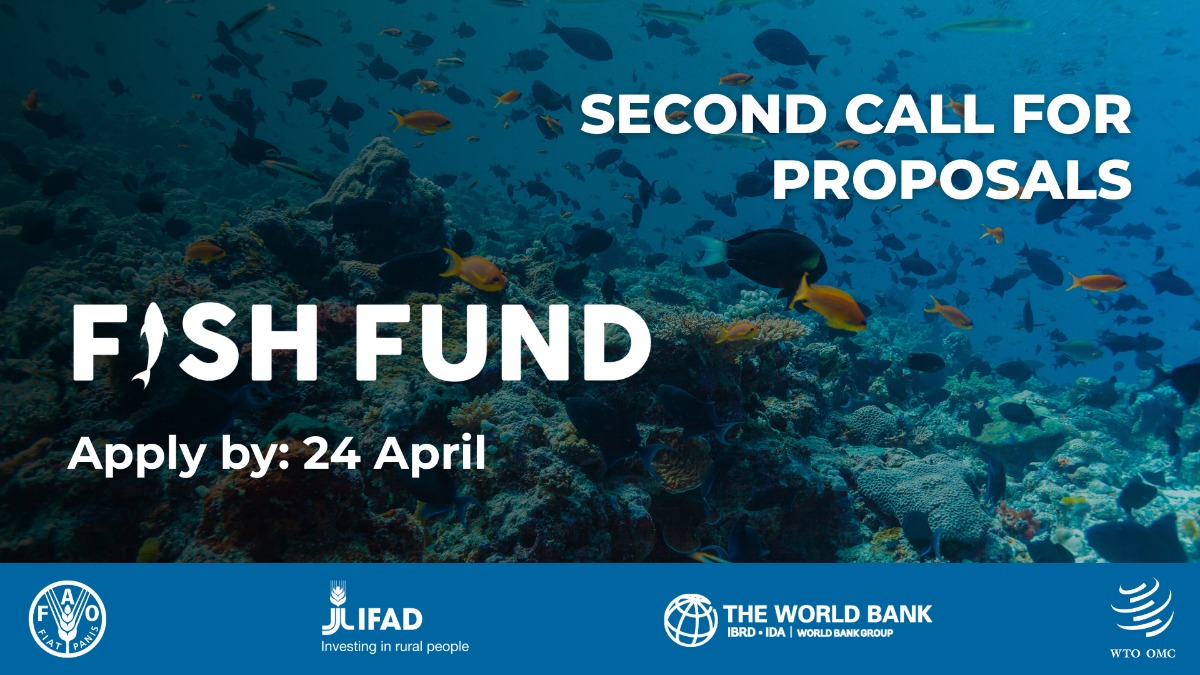 Fish Fund launches second Call for Proposals