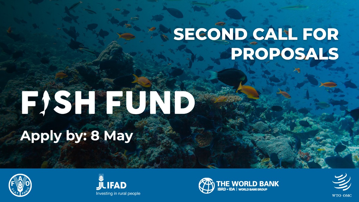 Fish Fund extends deadline of second Call for Proposals to 8 May